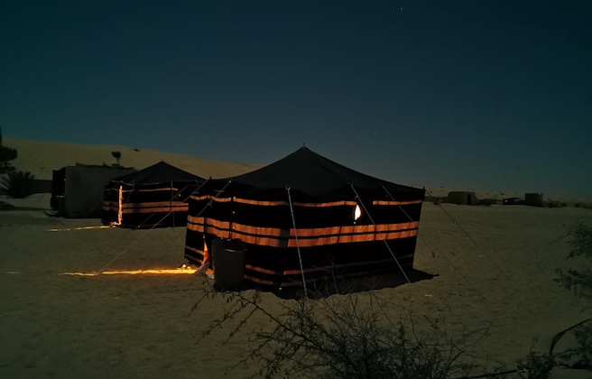 Gallery - Golden Palm Oasis