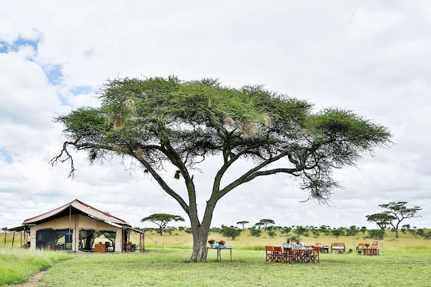 Gallery - Pumzika Classic Safari Camp - East Africa Camps