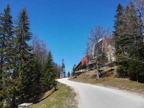Gallery - Bat Hotel Bistrica