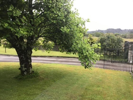Gallery - Woodland Glen Lodge