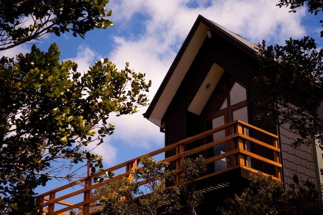 Gallery - Parque Natural Rio Bravo Lodge