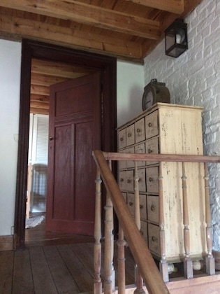 Gallery - La Maison Des Chiens