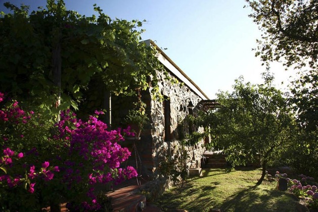 Gallery - Amberg Country Estate