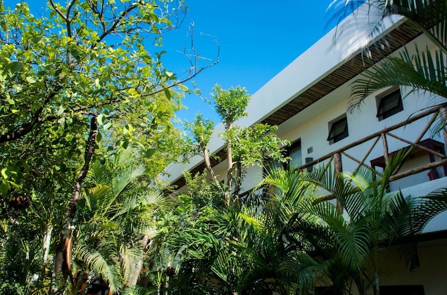 Gallery - Pacha Tulum Boutique Hotel