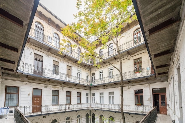 Gallery - Happy Home Budapest Fox