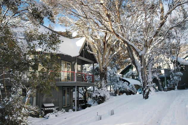 Gallery - Milkwood