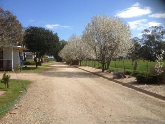 Gallery - Nagambie Caravan Park & Motel