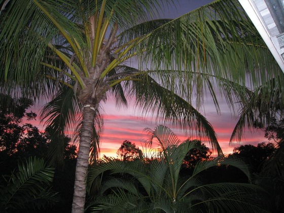 Gallery - Palmerston Sunset Retreat