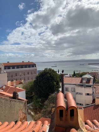 Gallery - Apartments Center Castelo