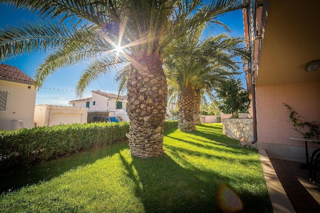Gallery - Apartments The Palms