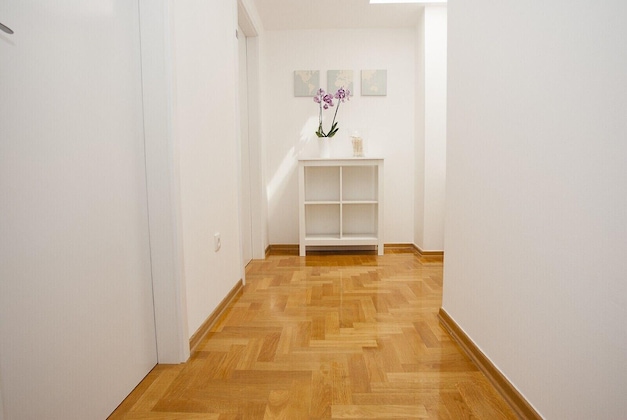 Gallery - Paw Rooms