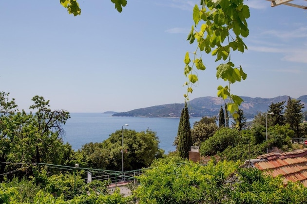 Gallery - Apartments Dalmatia Blue