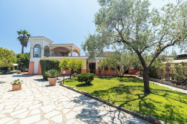 Gallery - L'ulivo