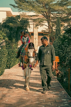 Gallery - Abhyaran Resort Ranthambore