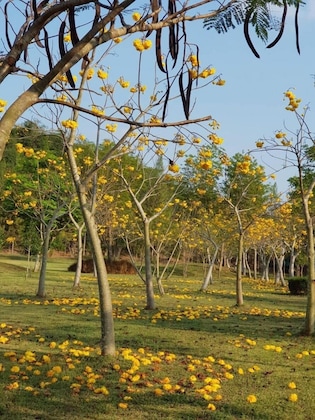 Gallery - Suan Phueng Pa Wai Resort