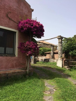 Gallery - Codavolpe Giardino Di Tea