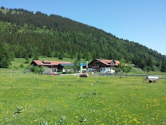 Gallery - Haflingerhof - Kematsried