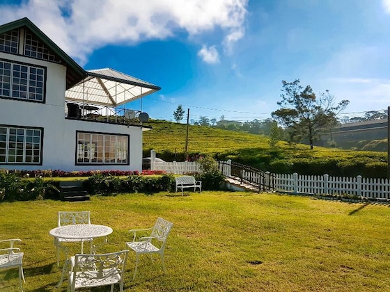Gallery - The Tea Garden