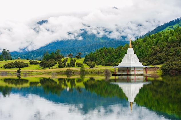 Gallery - Artel Poly Linzhi