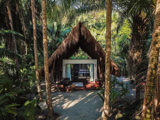 Gallery - Isla Palenque Member Of The Cayuga Collection