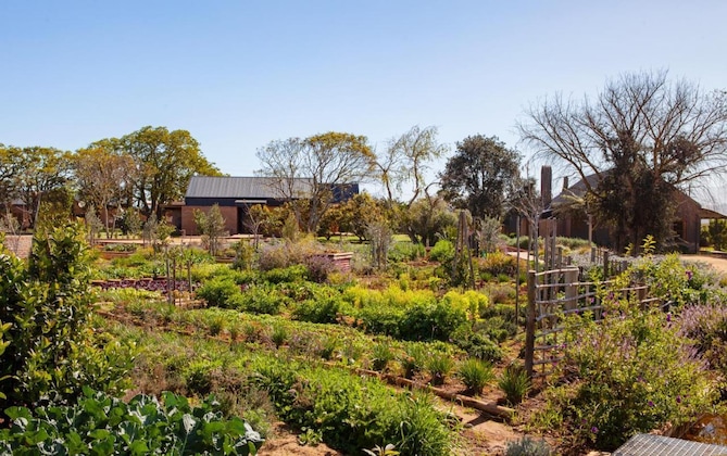 Gallery - The Village At Botlierskop
