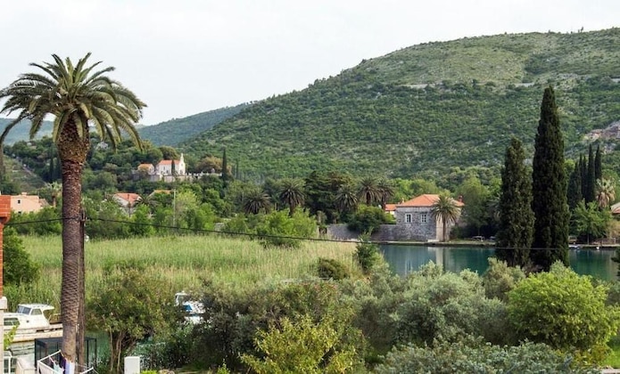Gallery - Apartments Villa Roza