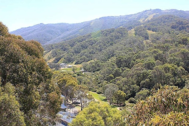 Gallery - Inala 3