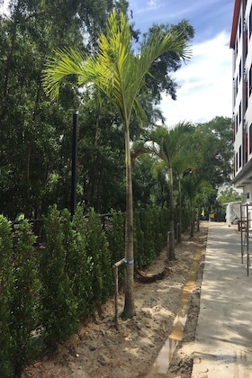 Gallery - Bangkok Boutique Resort Rangsit