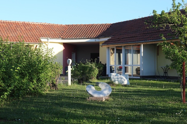 Gallery - Galeria In The Garden