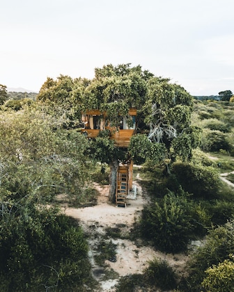 Gallery - Leopard Nest - Glamping In Yala
