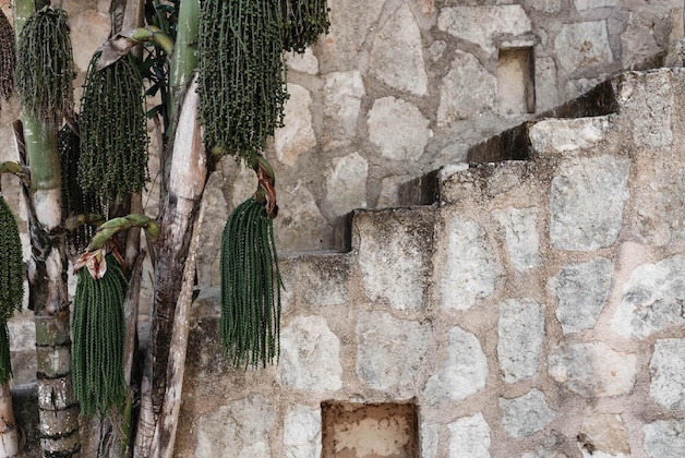 Gallery - Coqui Coqui Papholchac Coba Residence & Spa