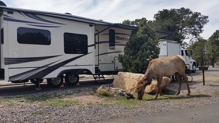 Gallery - Trailer Village Rv Park
