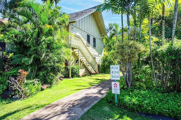 Gallery - Kapaa Sands 17