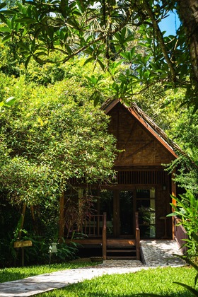 Gallery - Our Jungle House