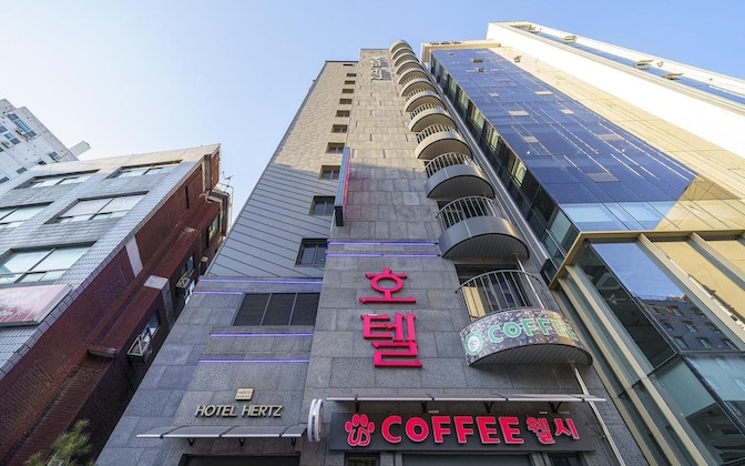 Gallery - Hertz Hotel