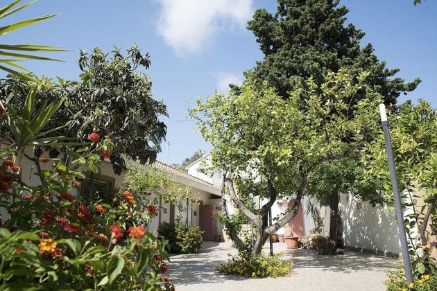 Gallery - L'albero