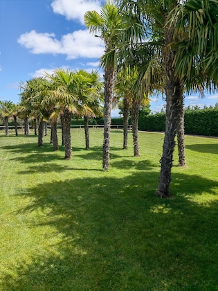 Gallery - Natura Resort
