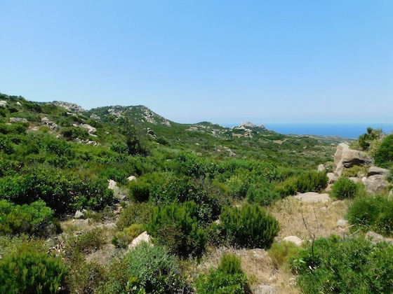 Gallery - Domaine Bocca Di Feno