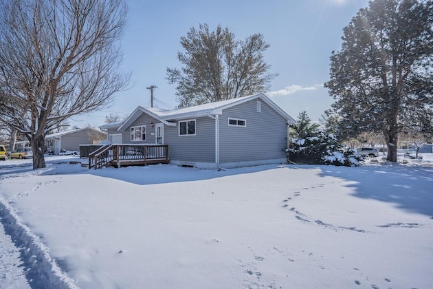 Gallery - Colorado Springs Uccs Grey Cottagedog Friendly!