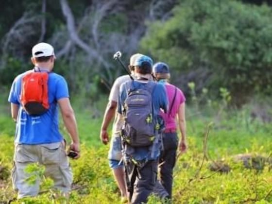 Gallery - Pantanal Jungle Lodge