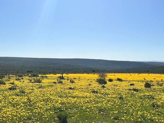 Gallery - Simbavati Cederberg Ridge