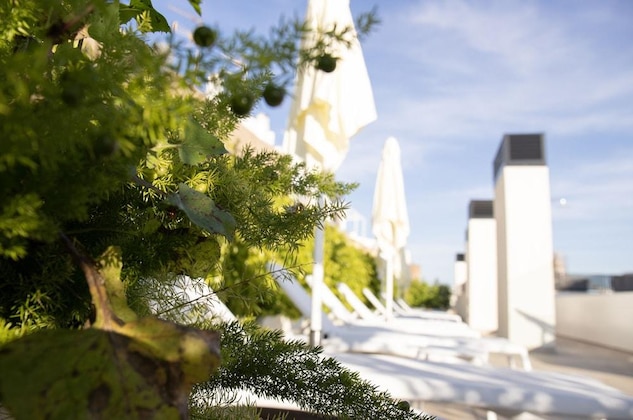 Gallery - Nqn Aparts & Suites Sevilla