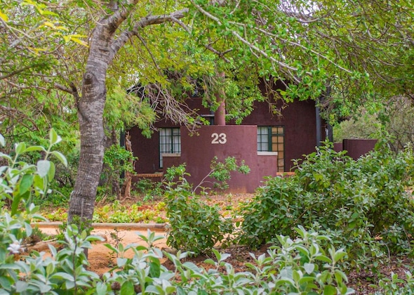 Gallery - Burchell's Bush Lodge By Dream Resorts