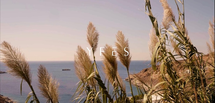 Gallery - Yfes