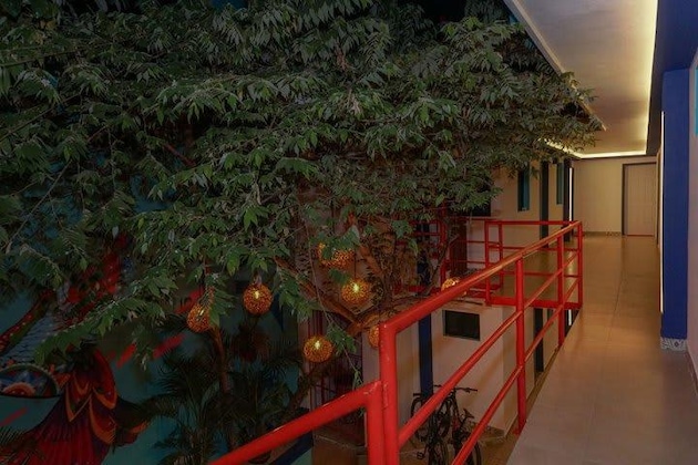 Gallery - Linda Vecindad Playa del Carmen