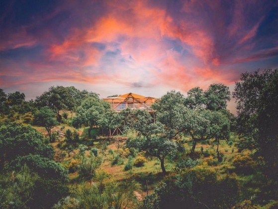 Gallery - La Dehesa Experiences