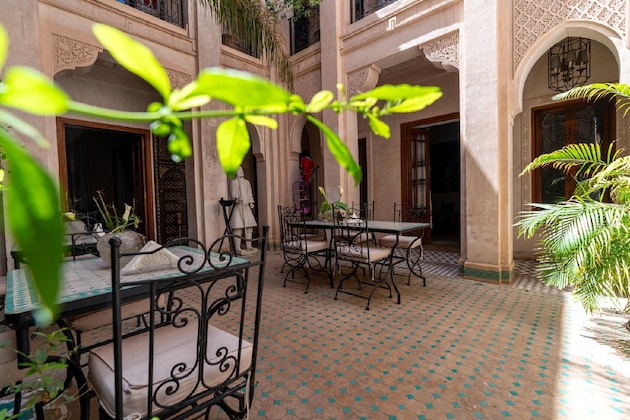 Gallery - Palais Nejma