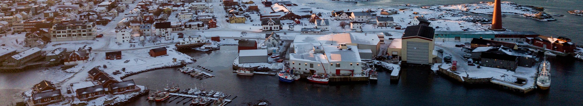 Andenes