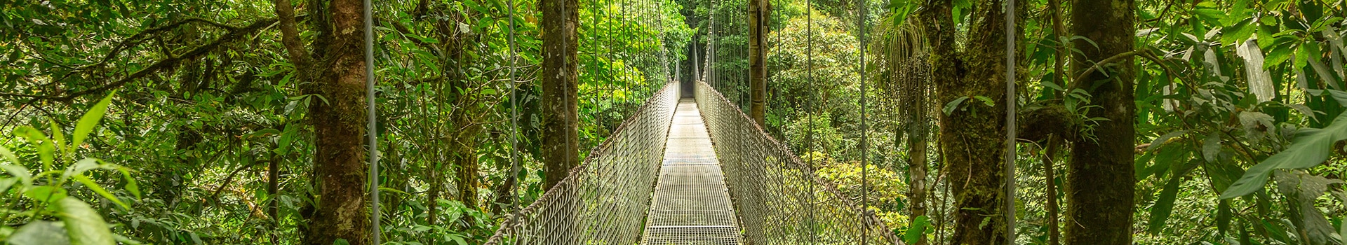 Rundreisen Hochzeitsreise Monteverde