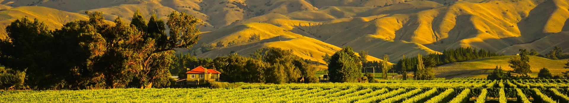 Autorundreisen Natur Neuseeland
